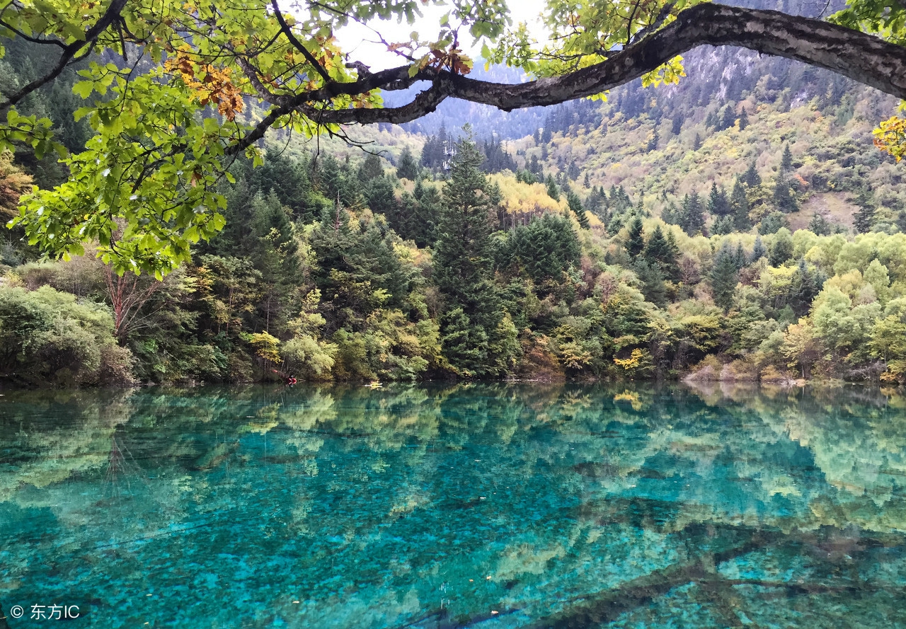 纳兰性德的悼亡诗名句,纳兰性德十首最著名诗