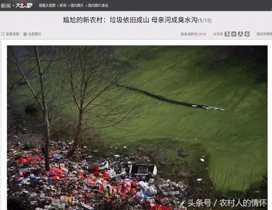 “三竹”过后真正的报应来了