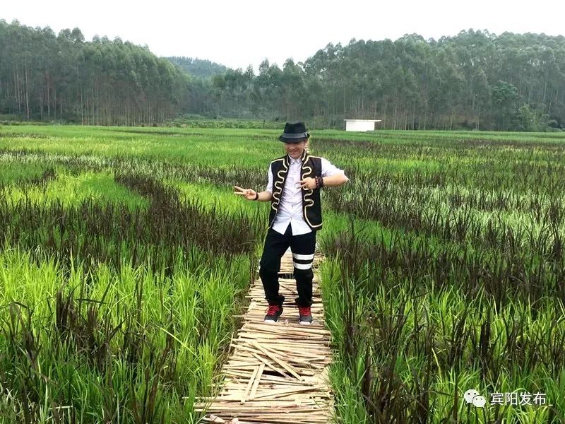 秋分客至月近人稻花香里闹丰年——宾阳县古辣镇第二届稻田艺术文化节暨首届农民丰收节开幕