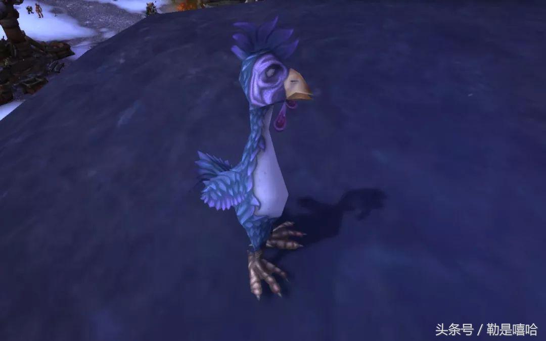 魔兽世界各种稀有宠物排名,魔兽世界稀有宠物排行榜