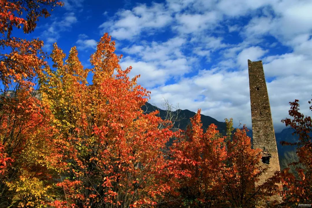红叶秋天的一道独特风景,红叶美景惊艳了整个秋天