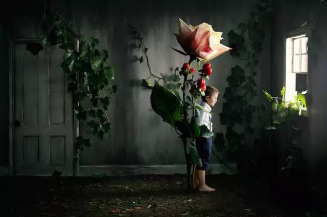 德国真正的强大,德国的强大是从免费教育开始的