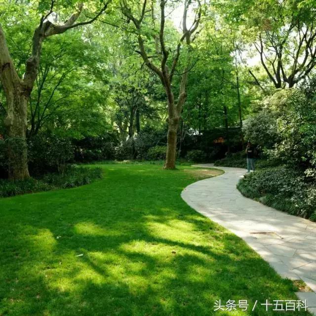 世界上最寂寞的咖啡馆,中国最孤独的咖啡馆