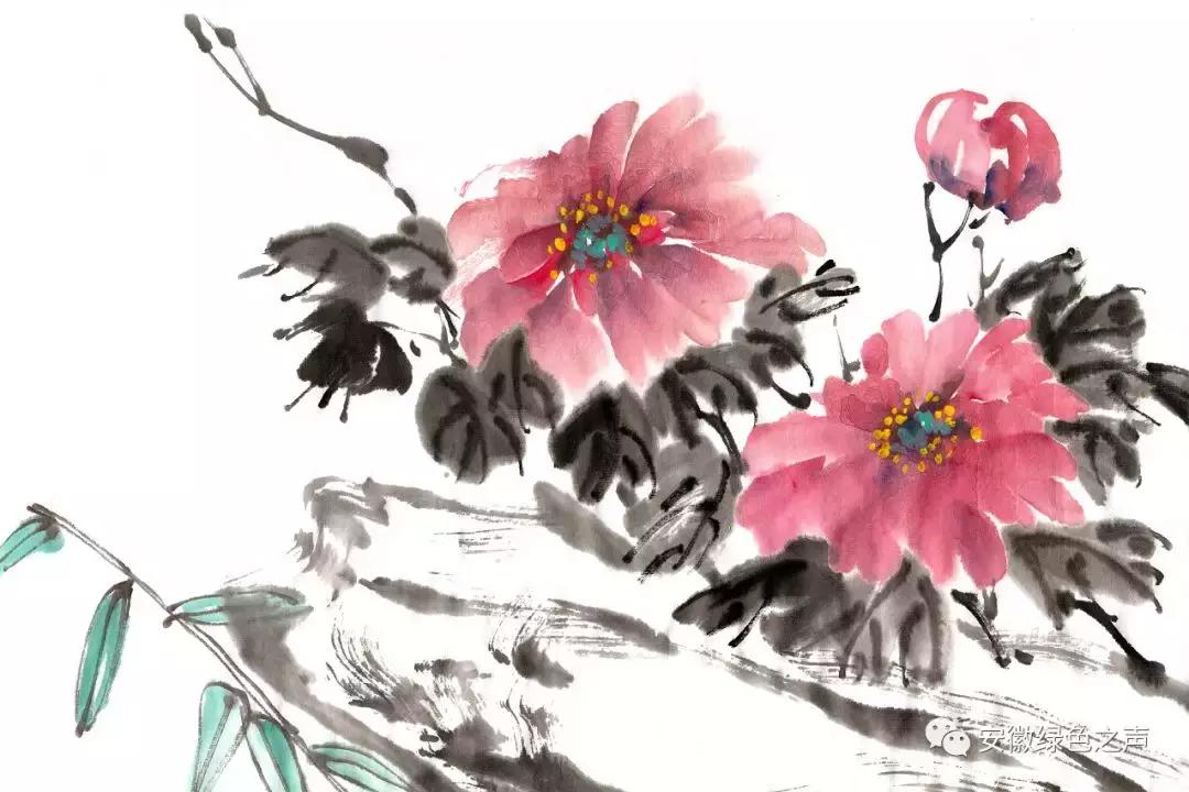 「955·物美江淮」集观赏与药用于一身的铜陵凤丹