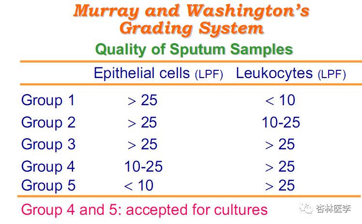 痰培养常见细菌图谱,痰培养结果正常菌群生长说明什么