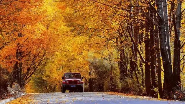 8条进藏绝美公路现在路况如何,进藏哪条路线风景最好