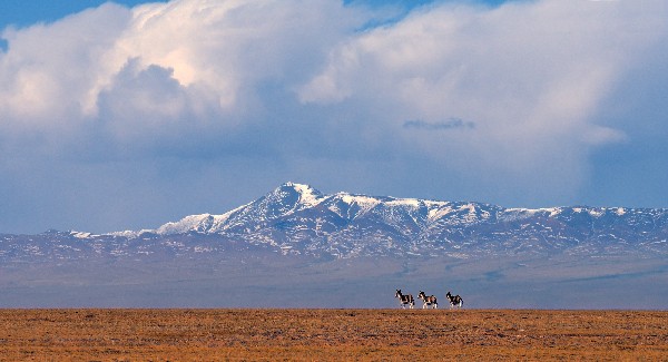 我国这个被世界认可的“净土”，是“生命的禁区”