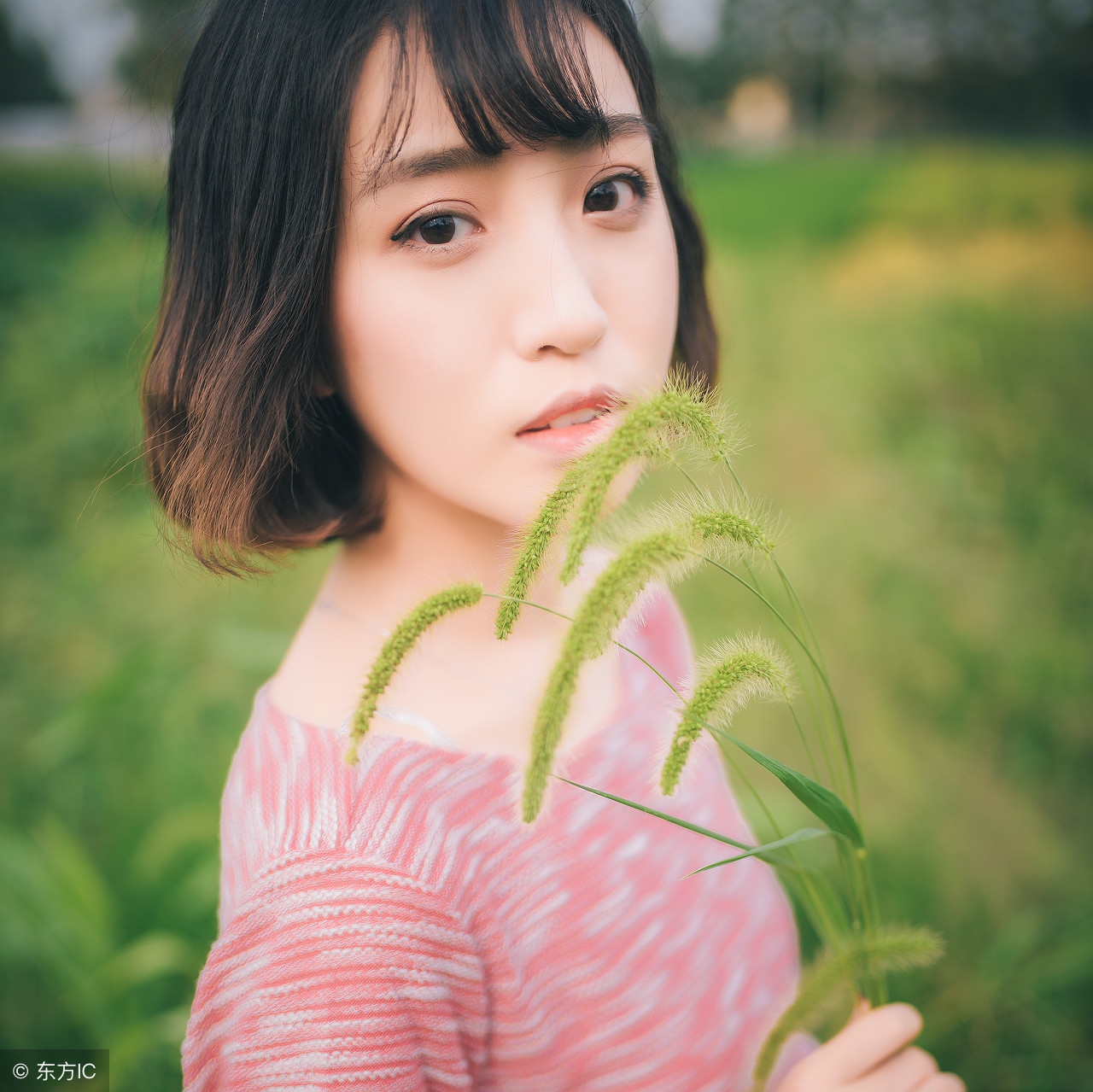 郑州北大青鸟学费多少,北大青鸟学电脑