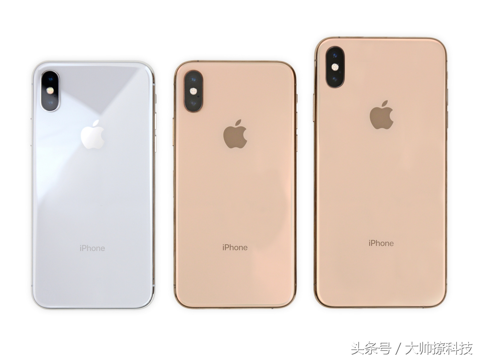 iphonexsiphonexsmax有什么区别,iphonexs和xsmax拆机对比