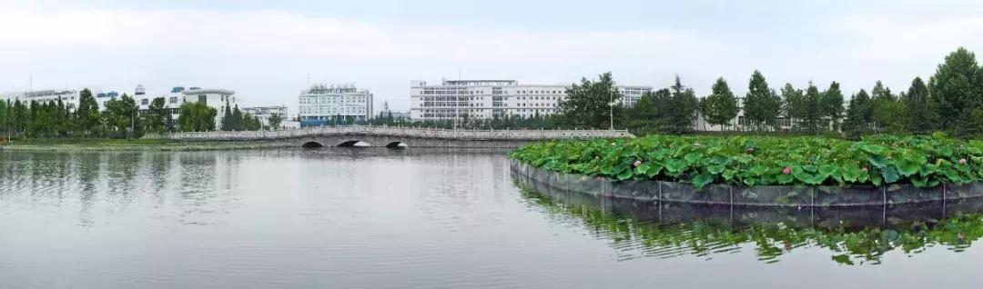 除了工资低点什么都好,除了风景还能干啥