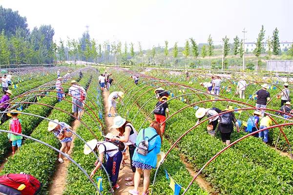 农秀才：农业农村部推荐100个休闲农业和乡村旅游精品景点线路