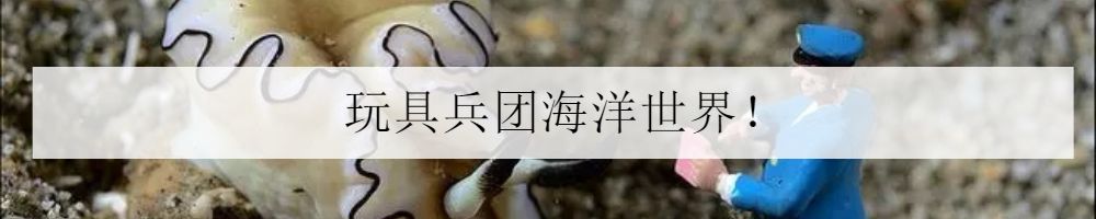 2020cips长城杯世界大赛,2023cips长城杯世界特别组锦标赛