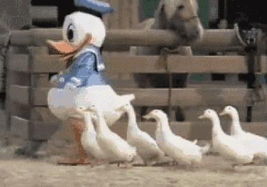 食在广东寻味顺德,食在肇庆