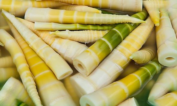 南川方竹笋哪里正宗,南川三泉镇好吃方竹笋的店推荐