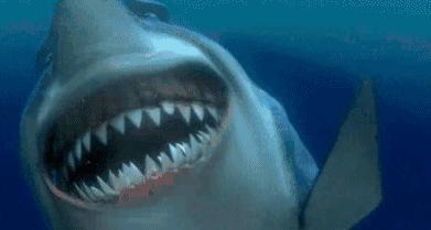 海鲜店里鱼腥味太重怎么去除,海鲜店腥味要怎么去除