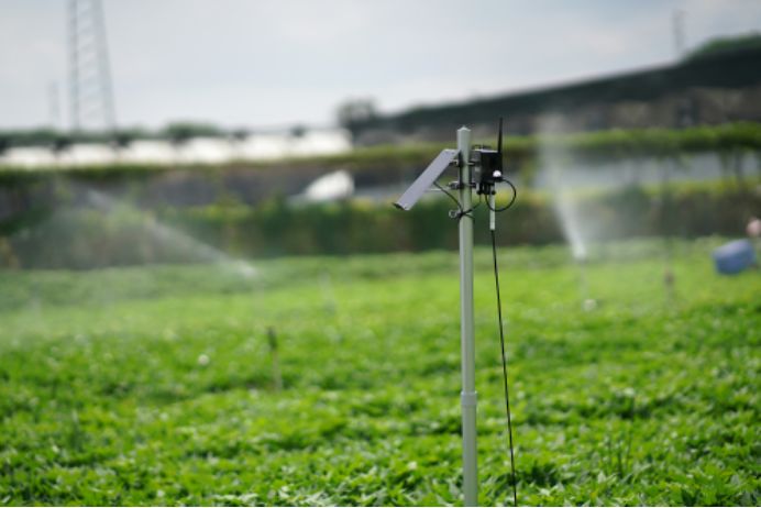华为食堂真实成功案例,华为食堂真实照片