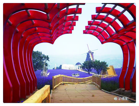 破茧成蝶脱胎换骨,破茧成蝶华丽蜕变