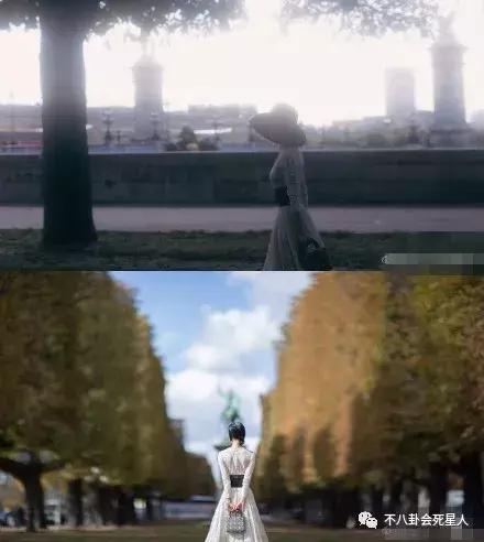 王子文baby参加活动,baby王子文同台