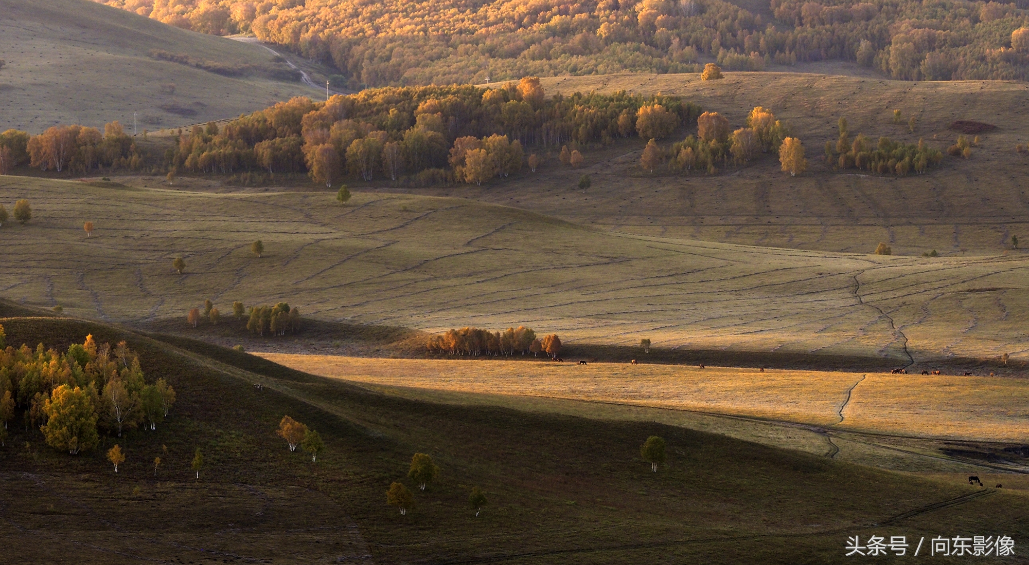 奥林巴斯配什么镜头,奥林巴斯配曲