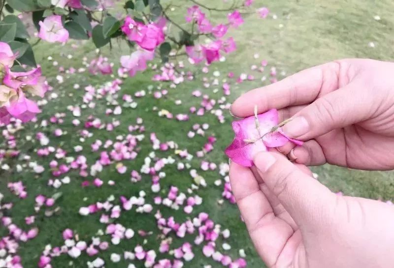 「诗词原创」西沉|路远秋已至沧海化田桑