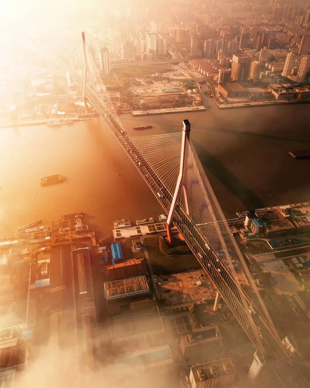 这样的上海,这样的上海你见过吗