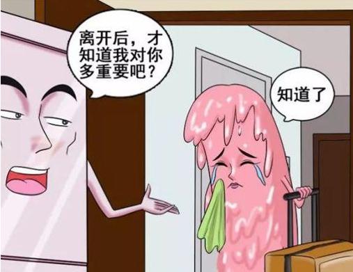 搞笑漫画：冰箱君和雪糕妹的爱情日常