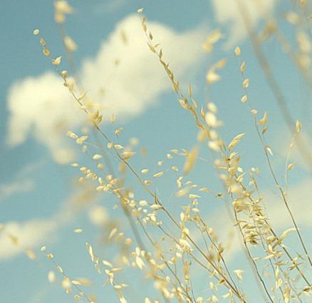 弘一法师说人到四十不知己,一切有为应作如是观