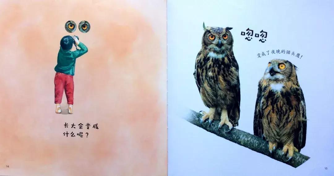 1-3岁地板书绘本,儿童绘本3-6岁套装推荐