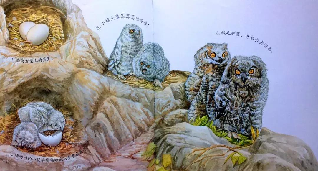 儿童益智书籍3-6岁绘本,宝宝图书1-3岁大绘本