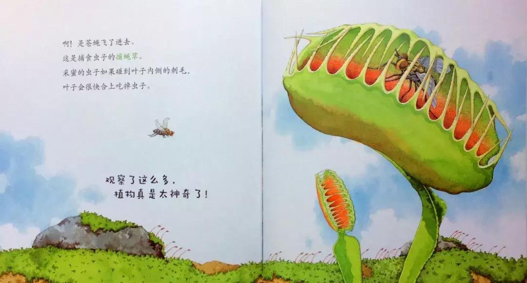 1-3岁地板书绘本,儿童绘本3-6岁套装推荐