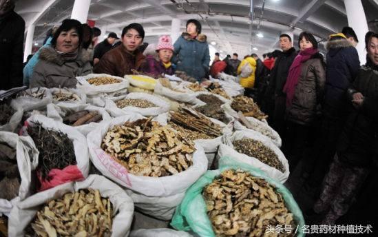 72种常见中药材、饮片造假手段全揭秘(建议收藏)