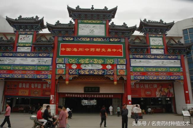 72种常见中药材、饮片造假手段全揭秘(建议收藏)