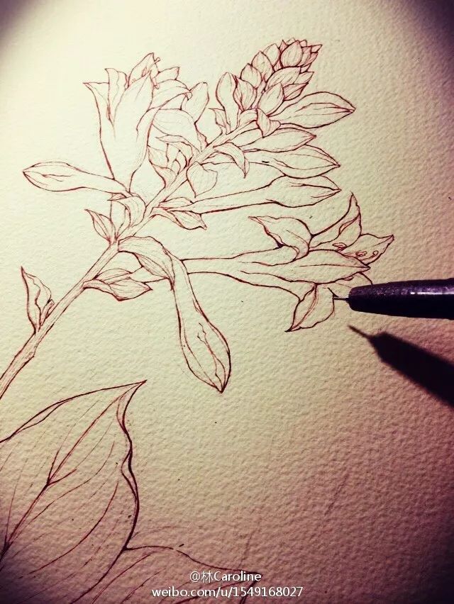 央视最美插画,央视点赞最美老师