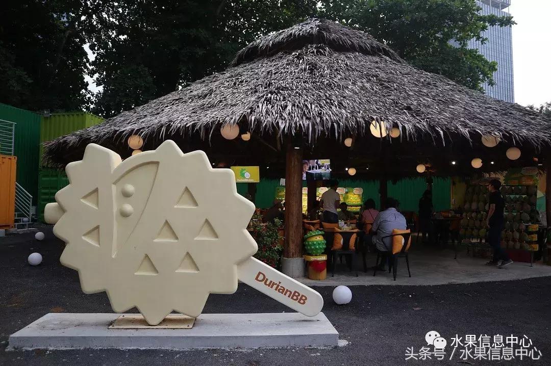 从榴莲代购起家，到64个实体销售点，他势要打造一个榴莲王国