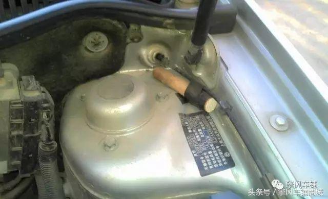 老鼠总进发动机舱怎么办,怎么防老鼠进发动机舱