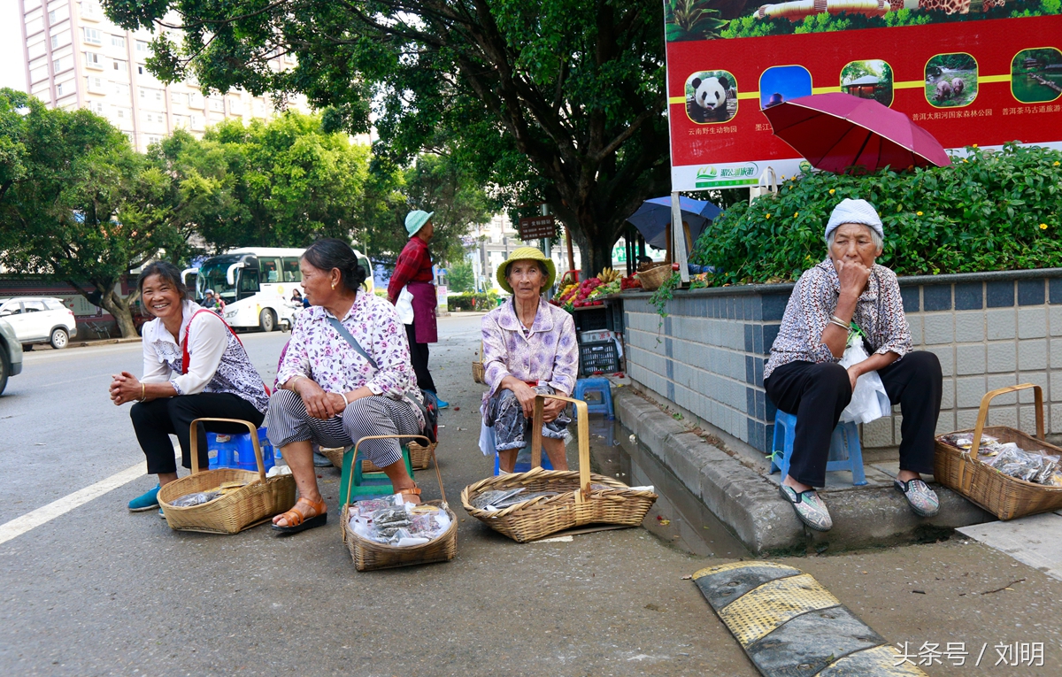 蚂蚁旅游专线云南之旅,蚂蚁旅游行