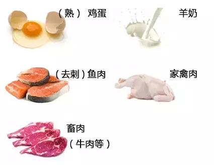 自制狗粮的配方和制作方法,自制狗粮配方及制作方法