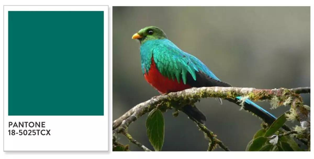 软装到底有多重要,什么软装好看又重要