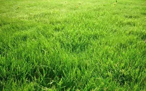 日本100个常用汉字,日本人常用的汉字有哪些