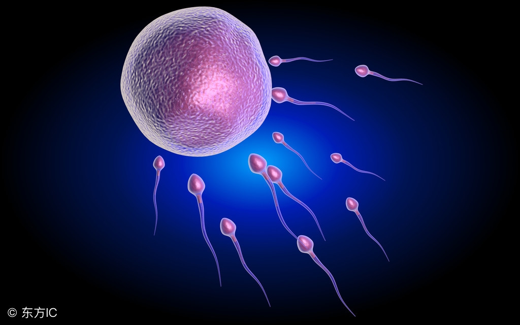 接好孕！从这两点提高受孕率