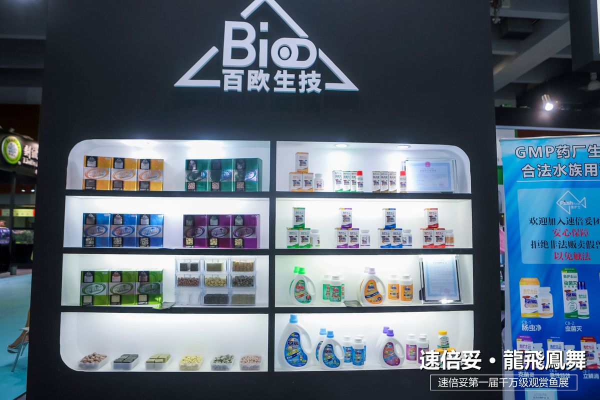 十大顶级巨型观赏鱼视频播放,顶级观赏鱼高清全屏视频