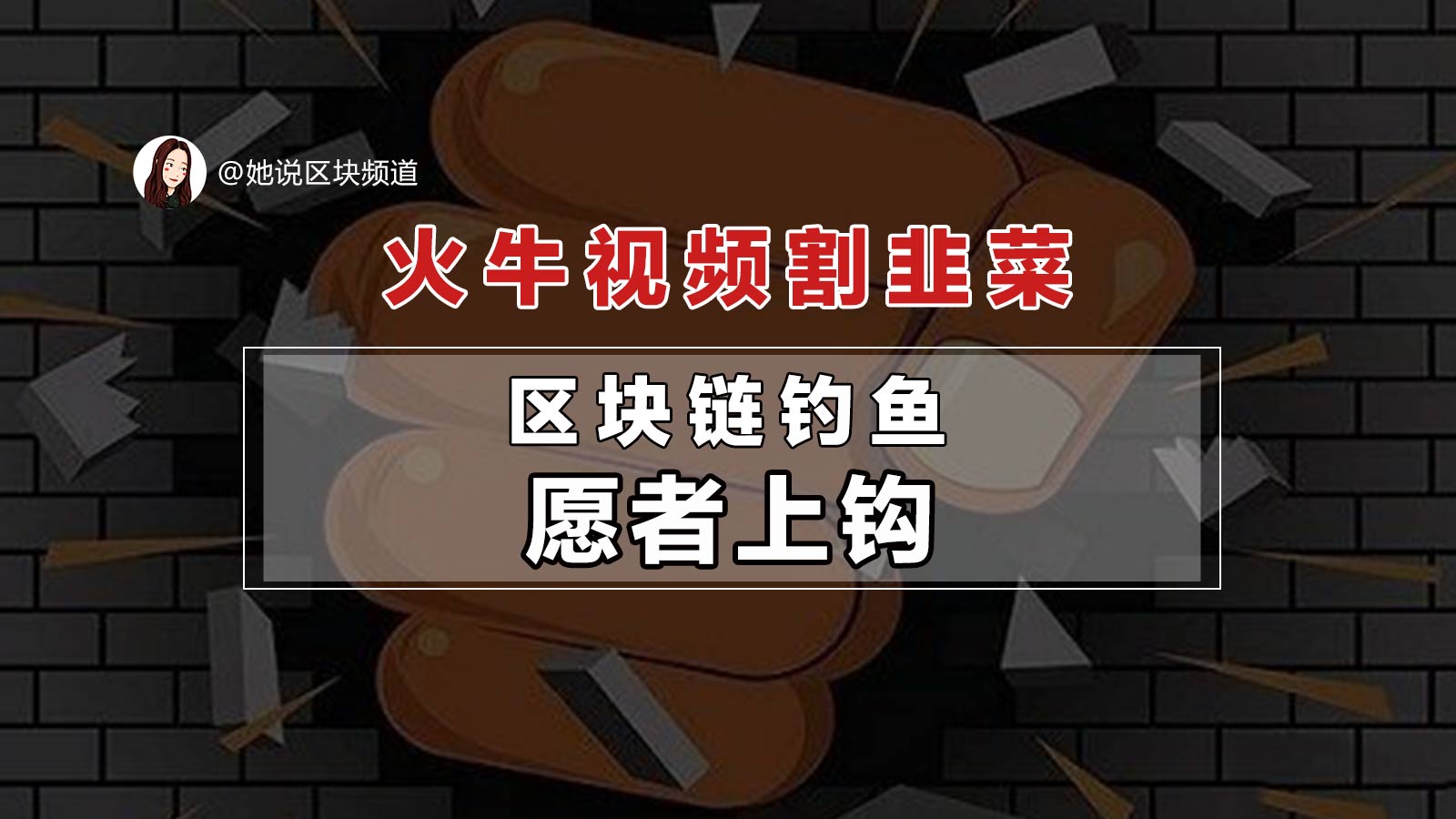 火牛与区块链视频,火牛区块链