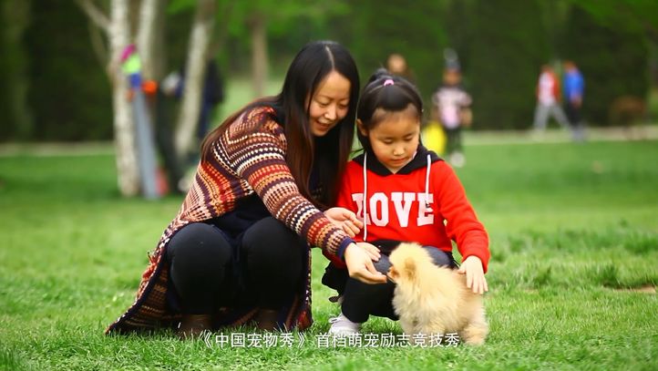 好味道广告图文,好味道节目