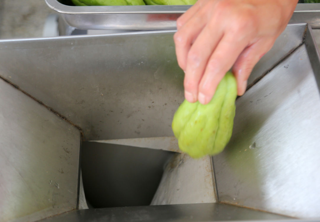 鍖栧姛澶ф硶蹇冩硶鍙h瘈,鍖栨帉涓哄垁