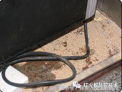 生物入侵红火蚁视频,红火蚁为什么是入侵物