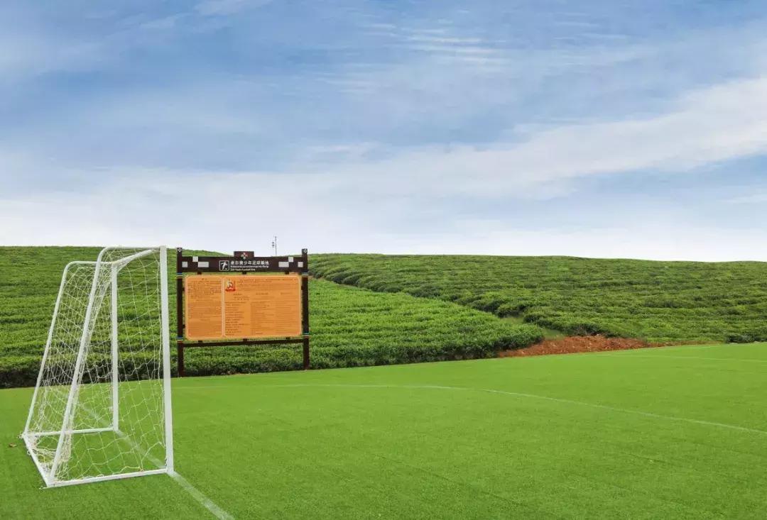 全球最大茶文化主题公园,赤壁青砖茶文化生态产业园