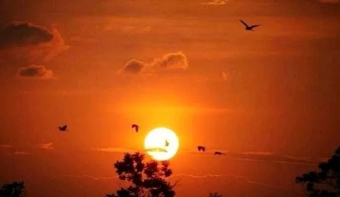 南昌纯玩一日游必去景点攻略大全,南昌纯玩一日游必去景点攻略图