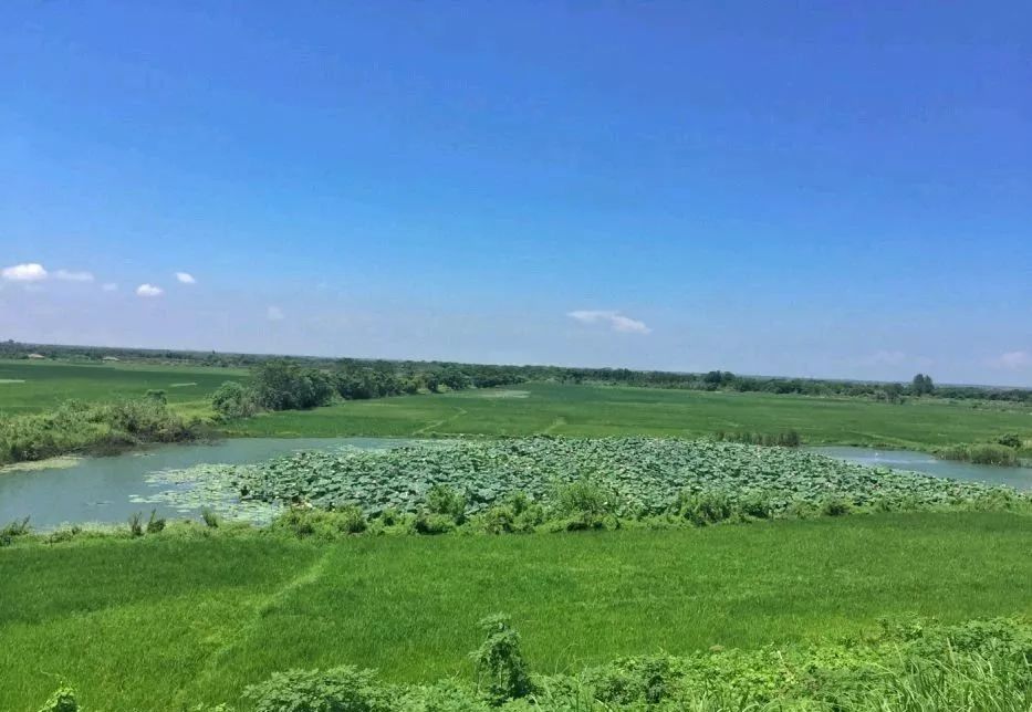 南昌纯玩一日游必去景点攻略大全,南昌纯玩一日游必去景点攻略图