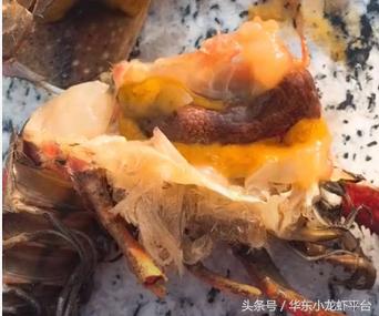 小龙虾如何判断受孕母虾,如何分辨小龙虾是不是准备产卵