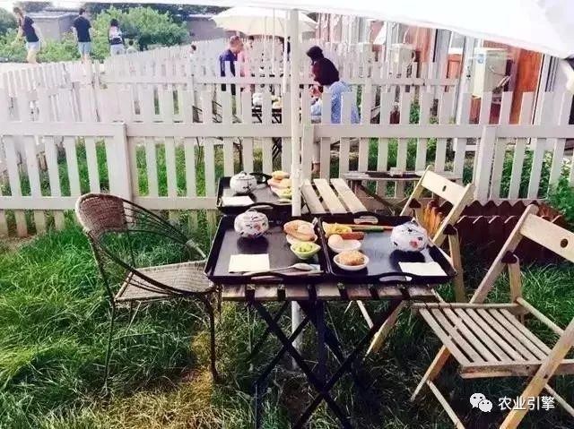 冷清的农家院被设计师折腾坏了成了京城第一精致生态农场